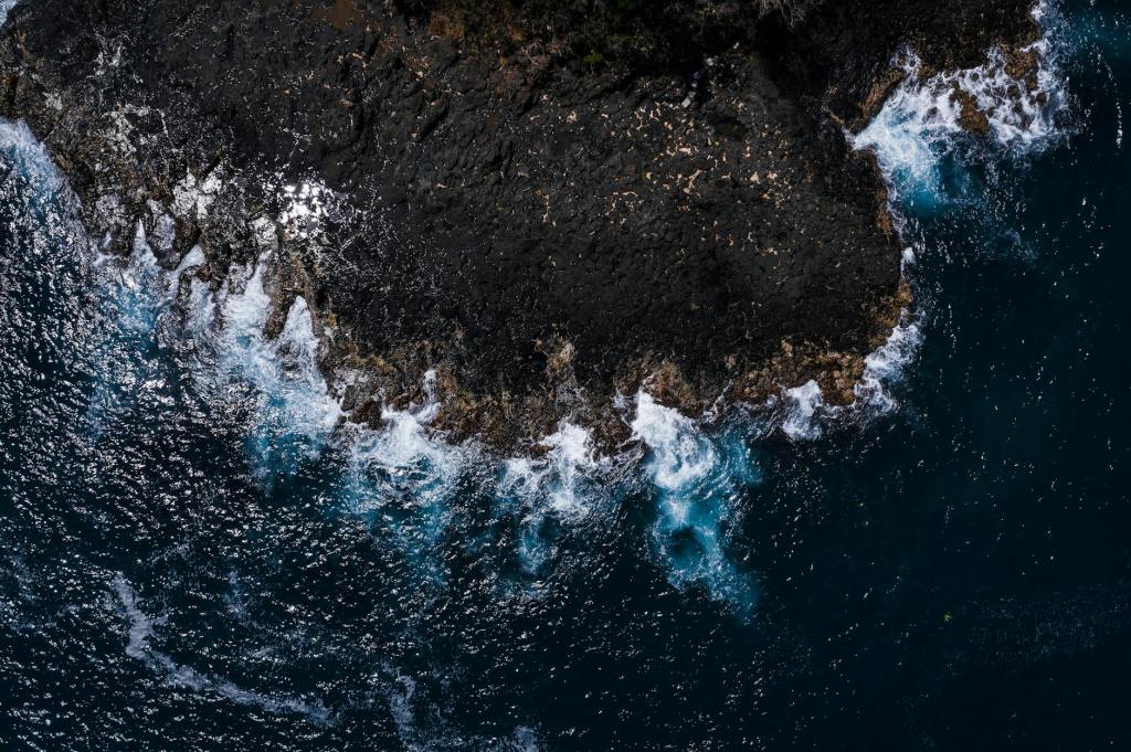 A Terceira Lei Hermética – A Lei da&nbsp;Vibração